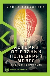 Истории от разных полушарий мозга. Жизнь в нейронауке